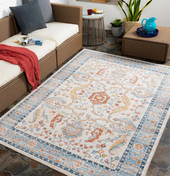 Shafter Traditional Outdoor Area Rug - Clearance - Ornate Home