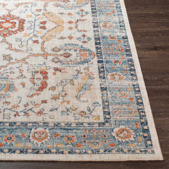 Shafter Traditional Outdoor Area Rug - Clearance - Ornate Home