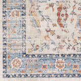 Shafter Traditional Outdoor Area Rug - Clearance - Ornate Home