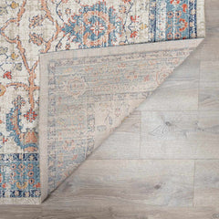 Shafter Traditional Outdoor Area Rug - Clearance - Ornate Home