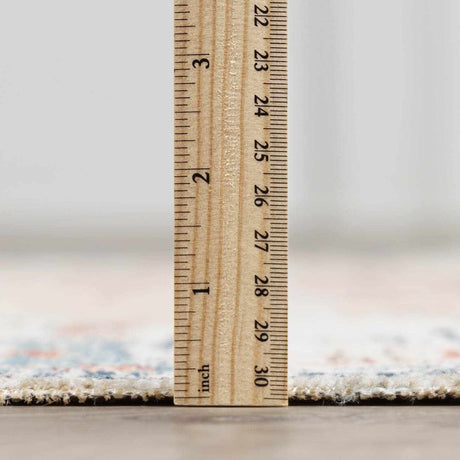 Shafter Traditional Outdoor Area Rug - Ornate Home