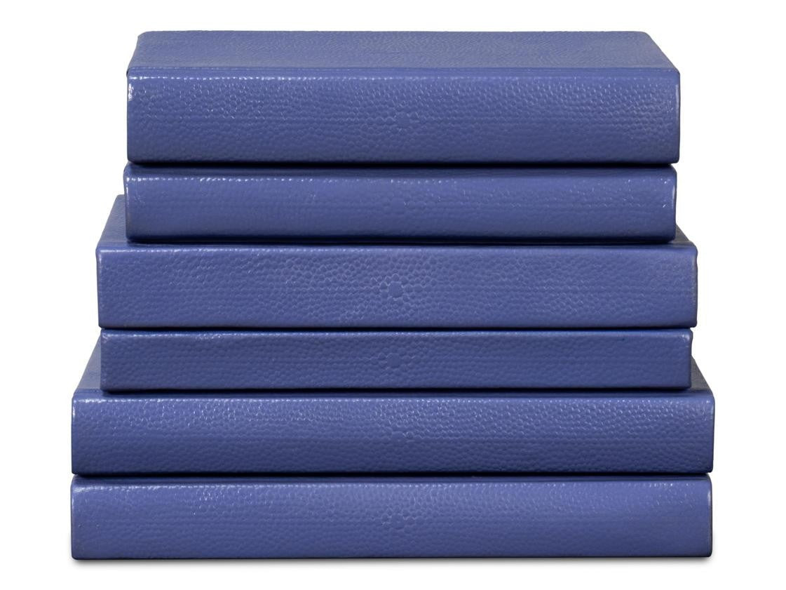 Shagreen Blue Books (Set of 12) - Ornate Home