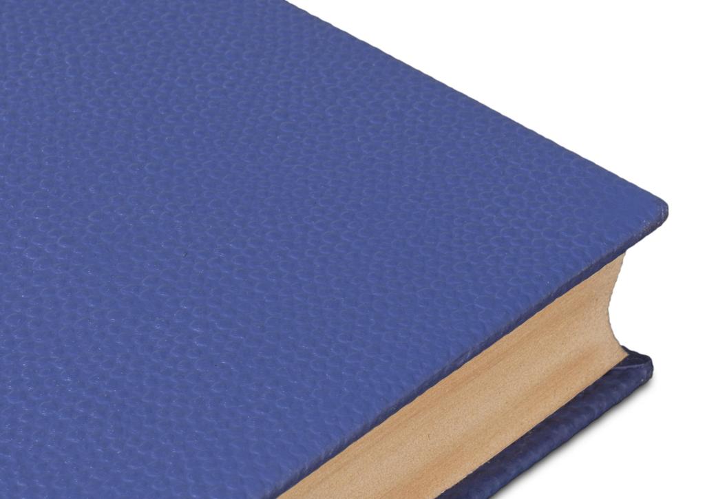 Shagreen Blue Books (Set of 12) - Ornate Home