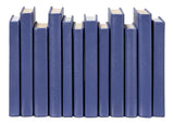 Shagreen Blue Books (Set of 12) - Ornate Home