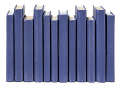 Shagreen Blue Books (Set of 12) - Ornate Home