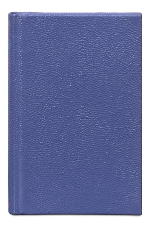Shagreen Blue Books (Set of 12) - Ornate Home