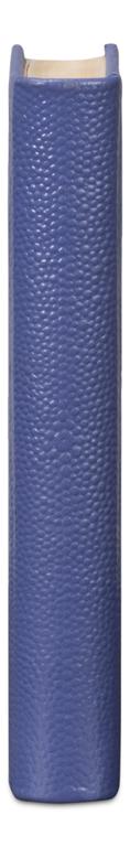 Shagreen Blue Books (Set of 12) - Ornate Home