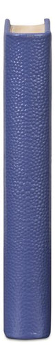 Shagreen Blue Books (Set of 12) - Ornate Home