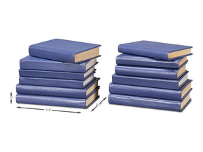 Shagreen Blue Books (Set of 12) - Ornate Home