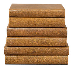 Shagreen Library Brown Books (Set of 12) - Ornate Home