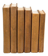 Shagreen Library Brown Books (Set of 12) - Ornate Home