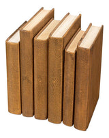 Shagreen Library Brown Books (Set of 12) - Ornate Home