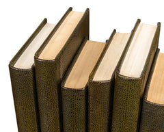 Shagreen Library Green Books (Set of 12) - Ornate Home