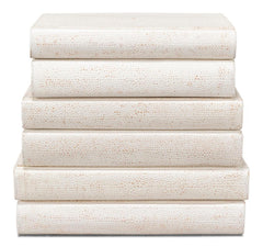 Shagreen Library White Books (Set of 12) - Ornate Home
