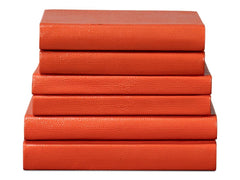 Shagreen Orange Books (Set of 12) - Ornate Home