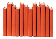 Shagreen Orange Books (Set of 12) - Ornate Home