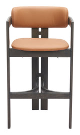 Shaili Brown Barstool - Ornate Home