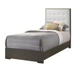 Sharpe Dark Grey Upholstered Panel Youth Bedroom Set - Ornate Home