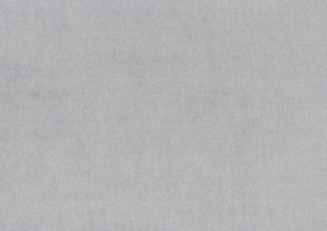 Shiloh Light Gray Daybed with Trundle - Ornate Home