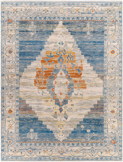 Shin Area Rug - Clearance - Ornate Home