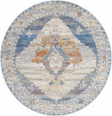 Shin Area Rug - Clearance - Ornate Home