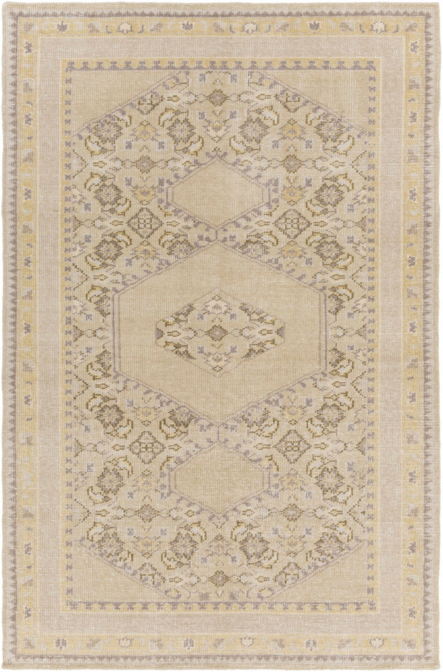 Shoemakersville Area Rug - Clearance - Ornate Home