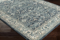 Shokan Area Rug - Ornate Home
