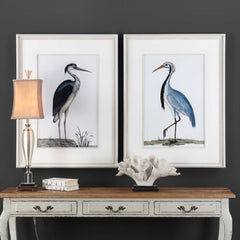 Shore Birds Black/Blue/White Framed Prints (Set of 2) - Ornate Home