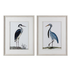 Shore Birds Black/Blue/White Framed Prints (Set of 2) - Ornate Home