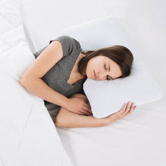 Shoulder Gel Dough + Z Gel White Queen Pillow - Ornate Home