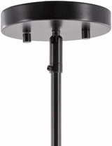 Shropshire Ceiling Light - Clearance - Ornate Home