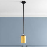 Shropshire Ceiling Light - Clearance - Ornate Home