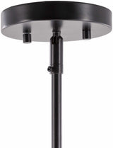 Shropshire Ceiling Light - Clearance - Ornate Home