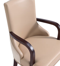 Shubert Faux Leather and Velvet Dining Armchair in Tan - Ornate Home