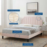 Sienna Pink Performance Velvet Twin Platform Bed - 81.5x41.5" - Ornate Home