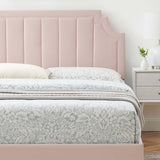 Sienna Pink Performance Velvet Twin Platform Bed - 81.5x41.5" - Ornate Home