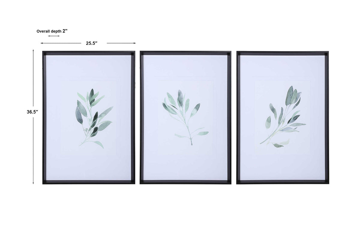 Simple Sage Black/Green/White Watercolor Prints (Set of 3) - Ornate Home