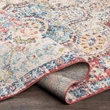 Simsbury Red Area Rug - Ornate Home