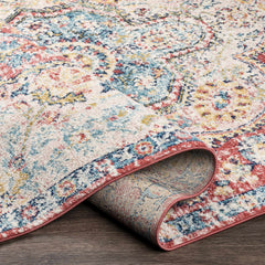 Simsbury Red Area Rug - Ornate Home