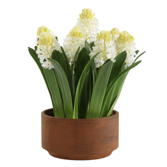 Sincerity Brown/Green/White Potted Hyacinth Plant - Ornate Home
