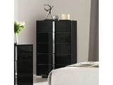 Sinistra Black Chest - Ornate Home