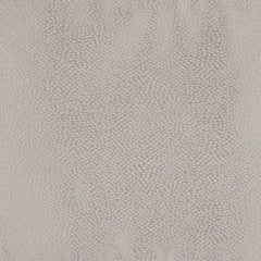 Skylar Champagne Comforter Set - Ornate Home