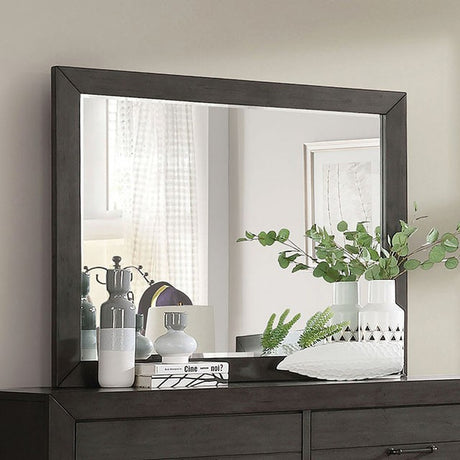 Sligo Dark Gray Mirror - Ornate Home