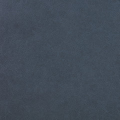 Sloane Blue Reclining Sofa - Ornate Home
