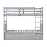Sloane Gray Twin Bunk Bed - Ornate Home