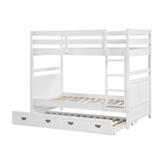 Sloane White Twin Bunk Bed - Ornate Home