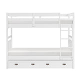 Sloane White Twin Bunk Bed - Ornate Home