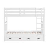 Sloane White Twin Bunk Bed - Ornate Home