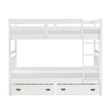 Sloane White Twin Bunk Bed - Ornate Home