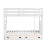 Sloane White Twin Bunk Bed - Ornate Home
